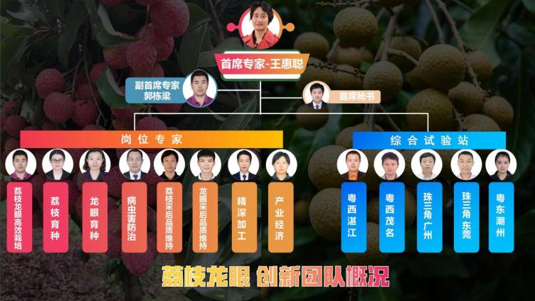 20250312創(chuàng)新團(tuán)隊(duì)概況_03